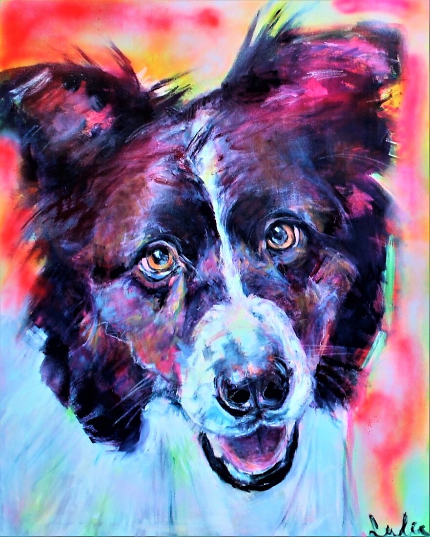 Border Collie portret