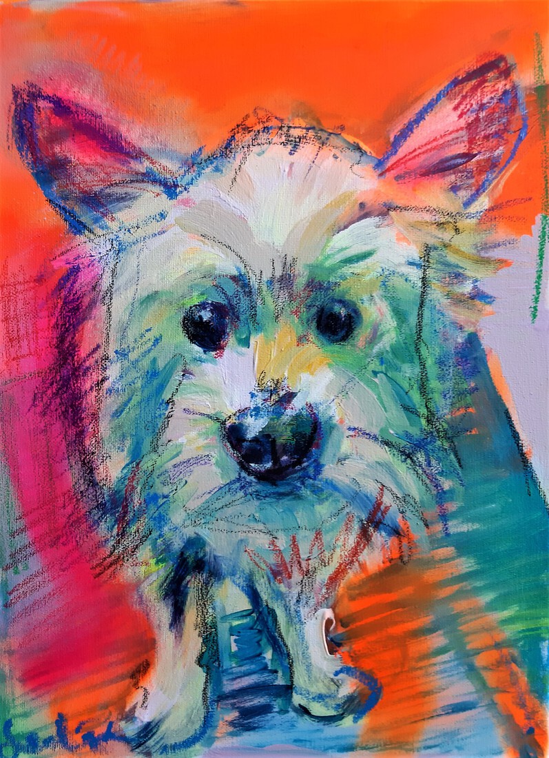 White Terrier