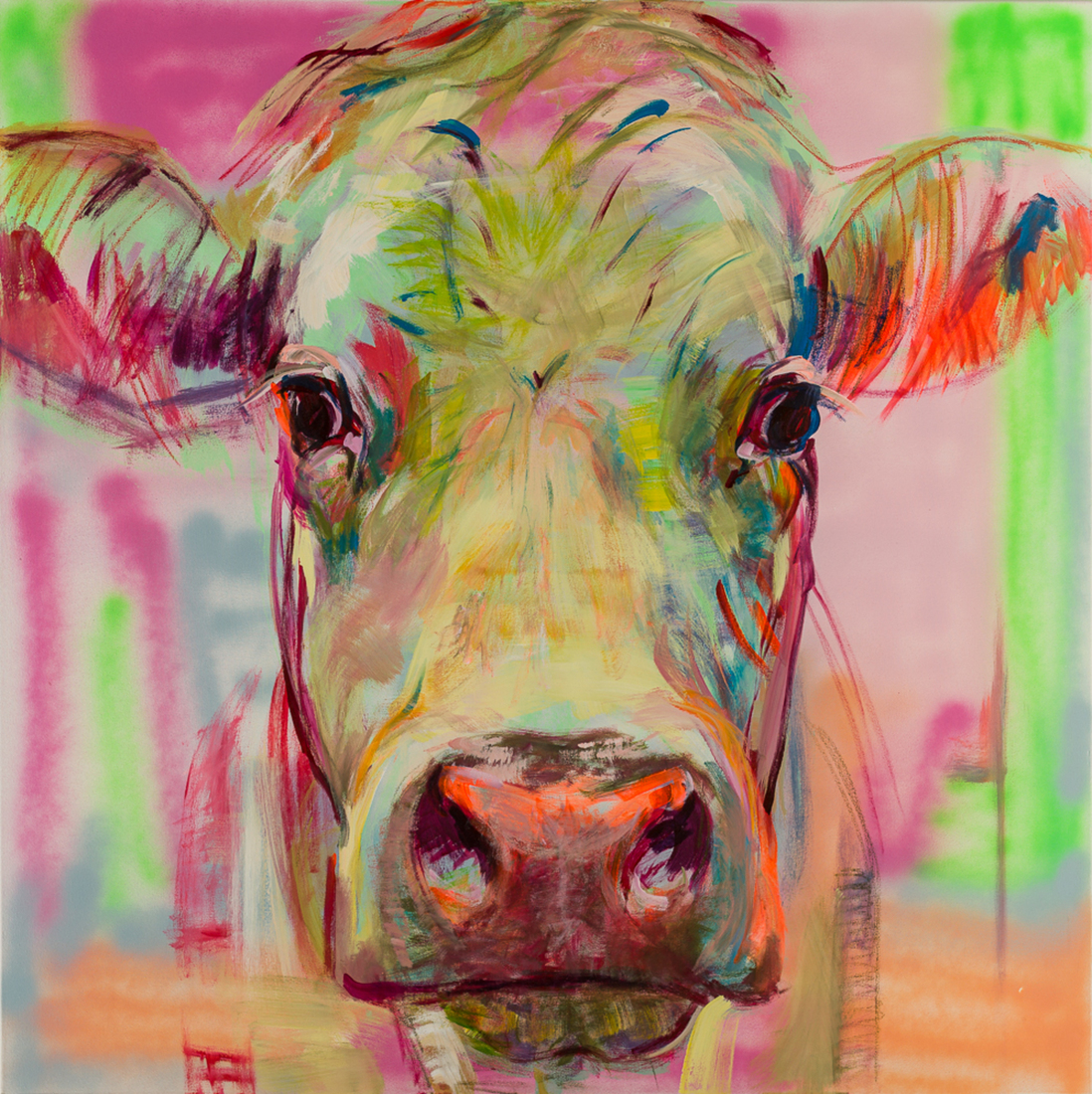 Koe portret (13)