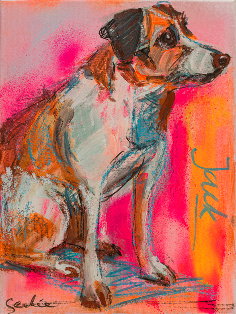 Hond Jackrussel
