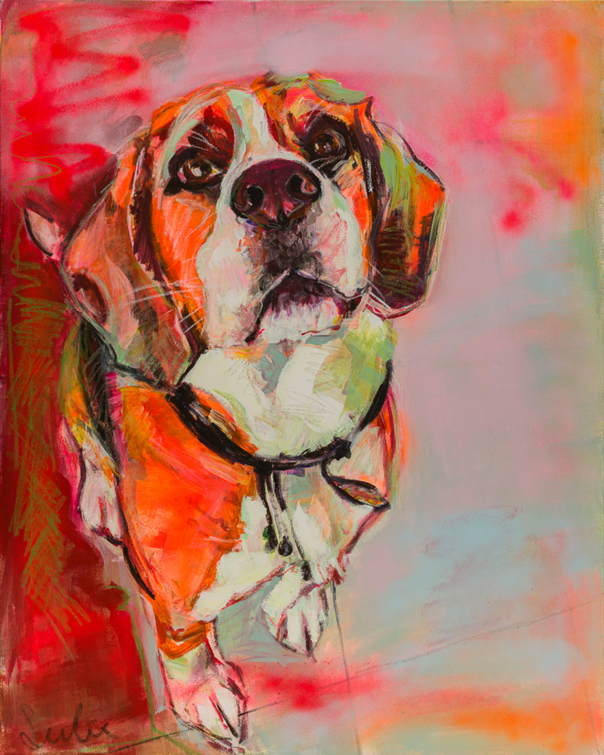 Hond Beagle portret