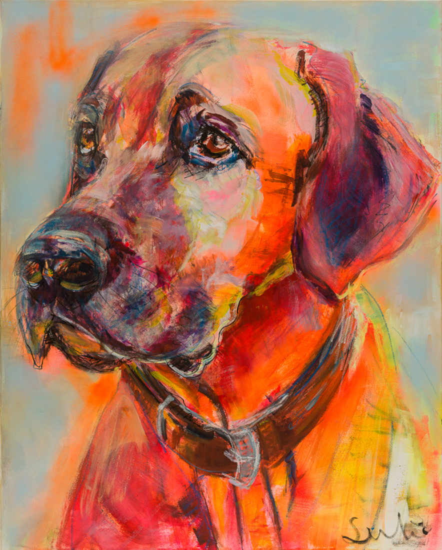Hond Rhodesian Ridgeback portret