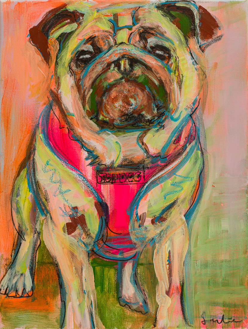 Hond Mops-hond