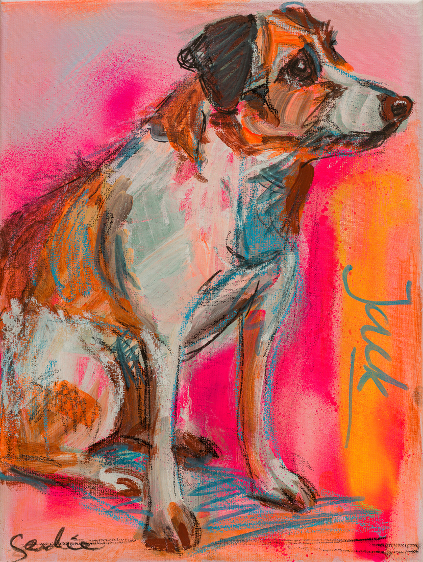 Hond Jackrussell