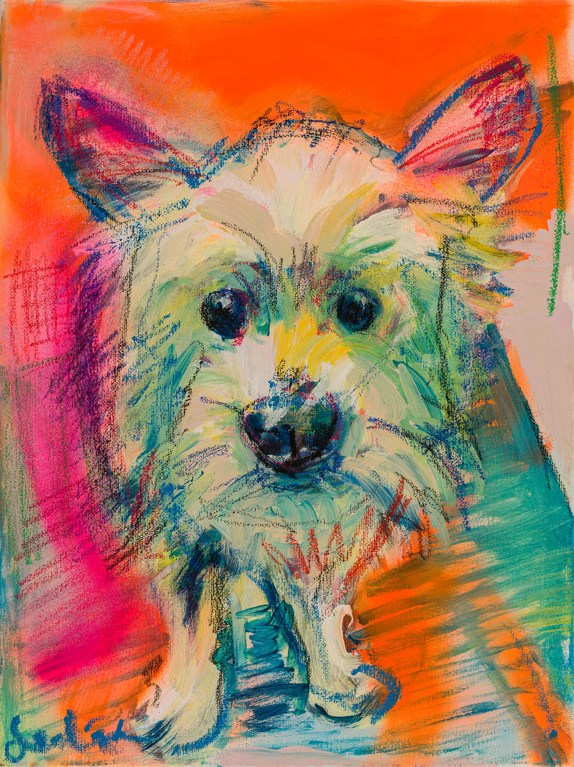 Hond, portret Witte West Highland Terriër, hondenschilderij