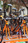 Fietsen allerlei