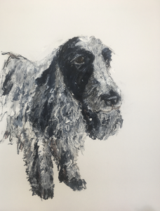 Laat uw eigen hond schilderen door mij.
Op formaat 50x65cm met acrylverf en krijt op papier.
