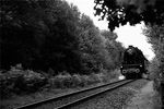 Stoomtrein Apeldoorn - Dieren