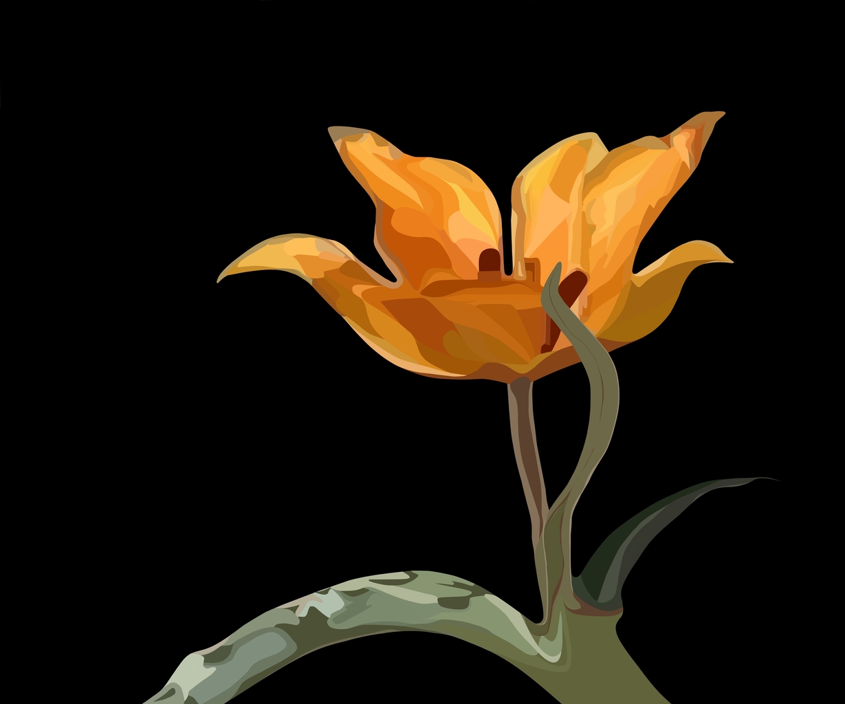 Wilde tulp