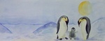 Hier laat ik mijn aquarels zien