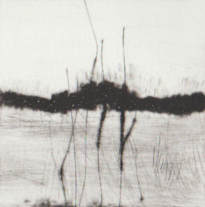 Zwerven door de Ooijpolder. Verwonderd wandel ik terug naar mijn atelier en verbeeld ik de herinneringen aan het geploegde land, de stuwwal in de verte, de Waal, de dijk, het water, het riet, de oude steenfabriek. Ik maak graag kleine grafische werken. Onderstaand werk is een combinatie van 'carborundum etching' en 'droge naald'.