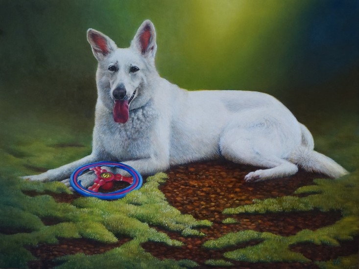 Rindy, een Zwitserse witte Herder