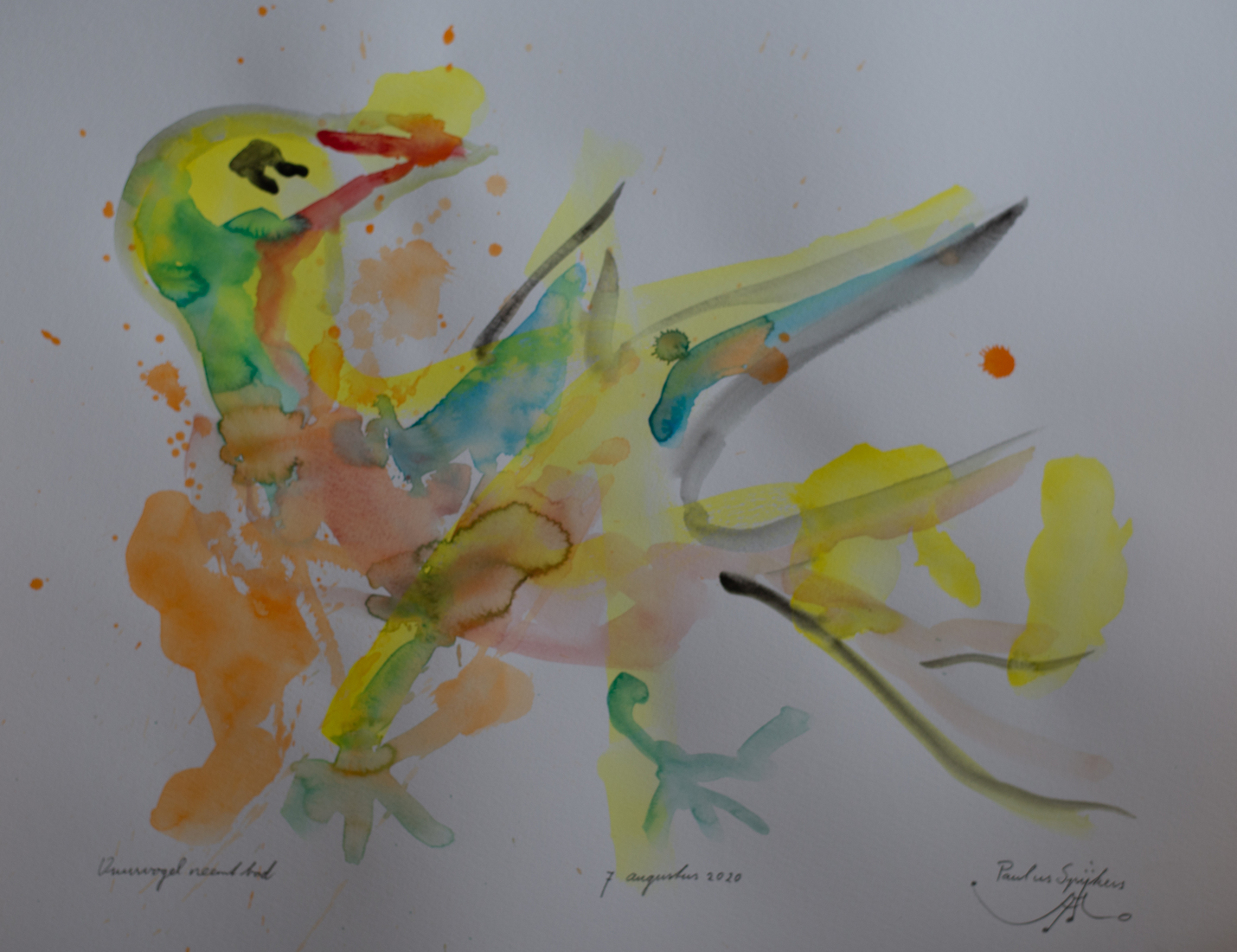 Vuurvogel neemt bad