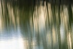 Ik experimenteer graag vanuit verschillende invalshoeken en ga opzoek naar nieuwe mogelijkheden binnen de fotografie. Zo tracht ik nieuwe beelden te creëren.
ICM: Intentional Camera Movement (bewust je camera bewegen)
