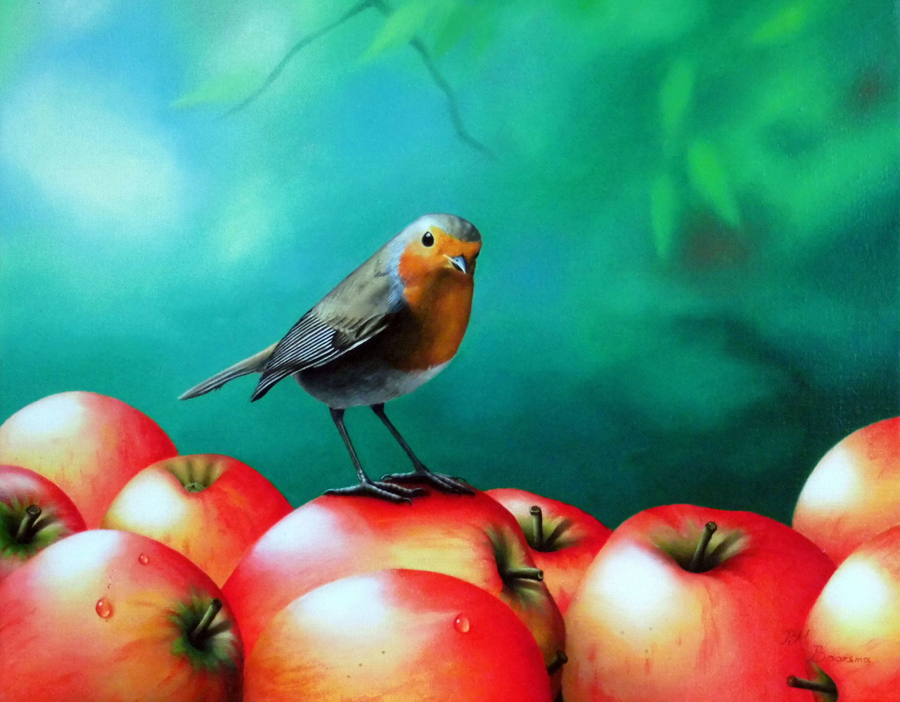 Roodborst