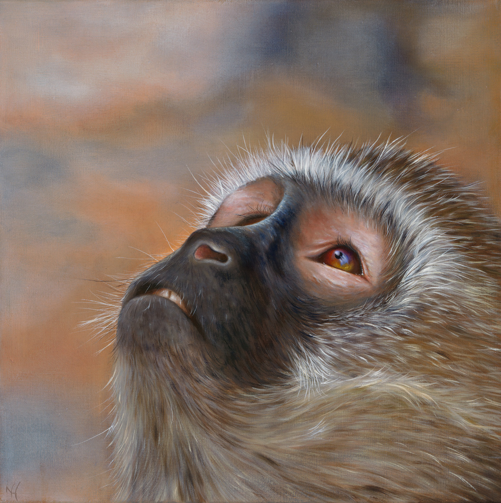 STARGAZER (Winner American Art Awards 2017)