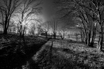 Landschap (zwart wit)