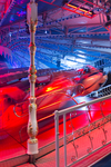 Kermis Weert