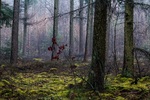 Enkele natuurfoto's tijdens de