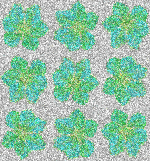B-OO-NR.054 (36X33 CM)