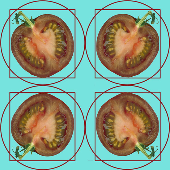 N-OO-NR.687 (30X30 CM)