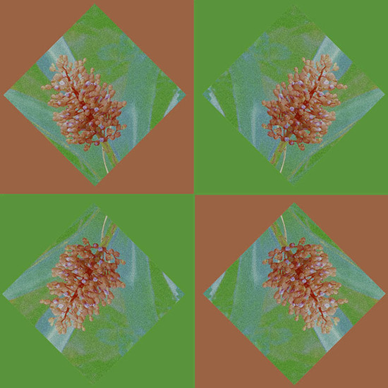 N-OO-NR.696 (30X30 CM)