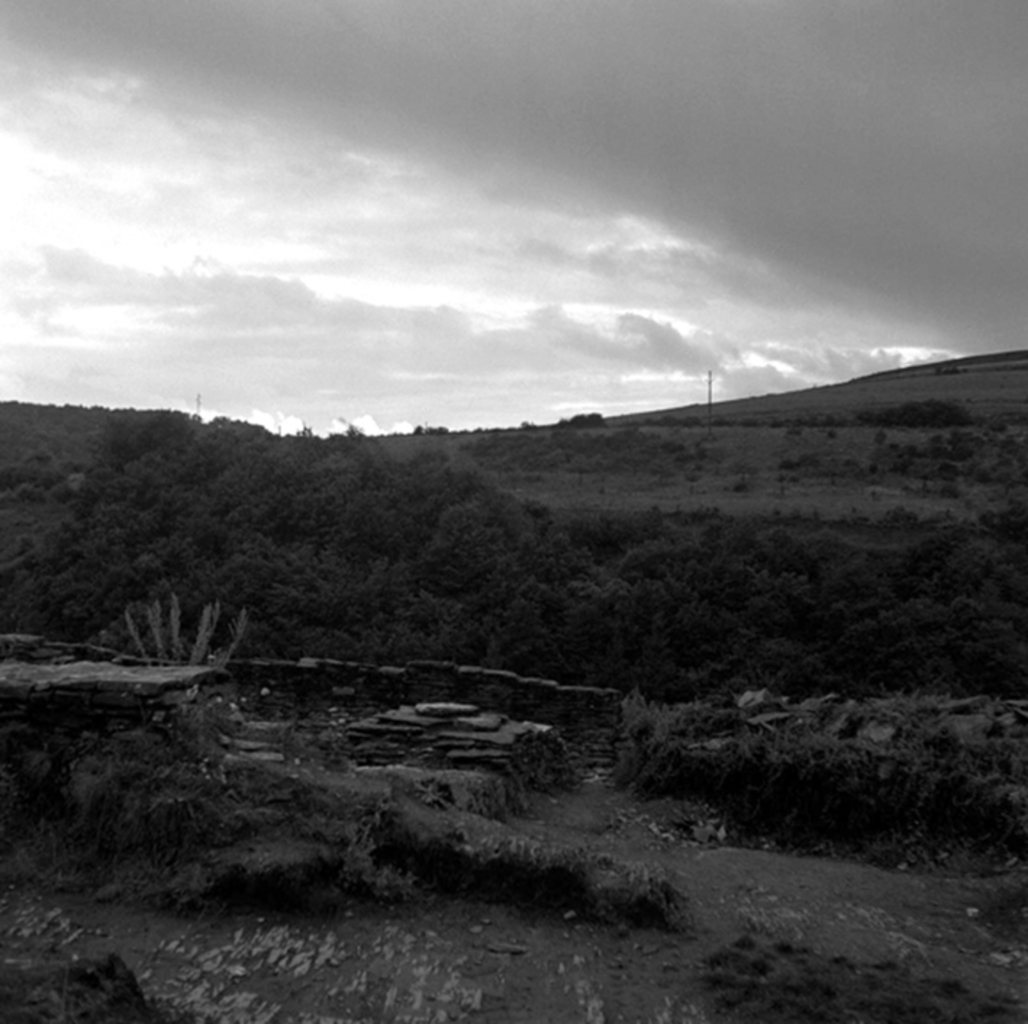 Ierland
