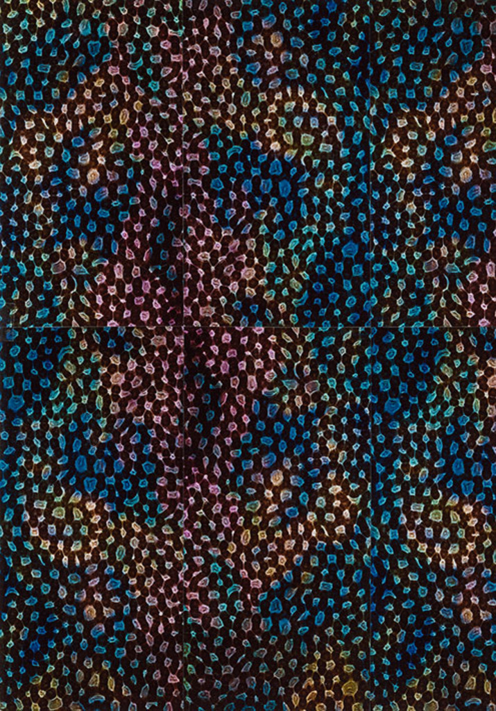 AO-OO-NR.005 (36X24 CM)