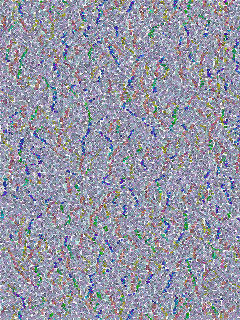 AO-OO-NR.079 (36X33 CM)
