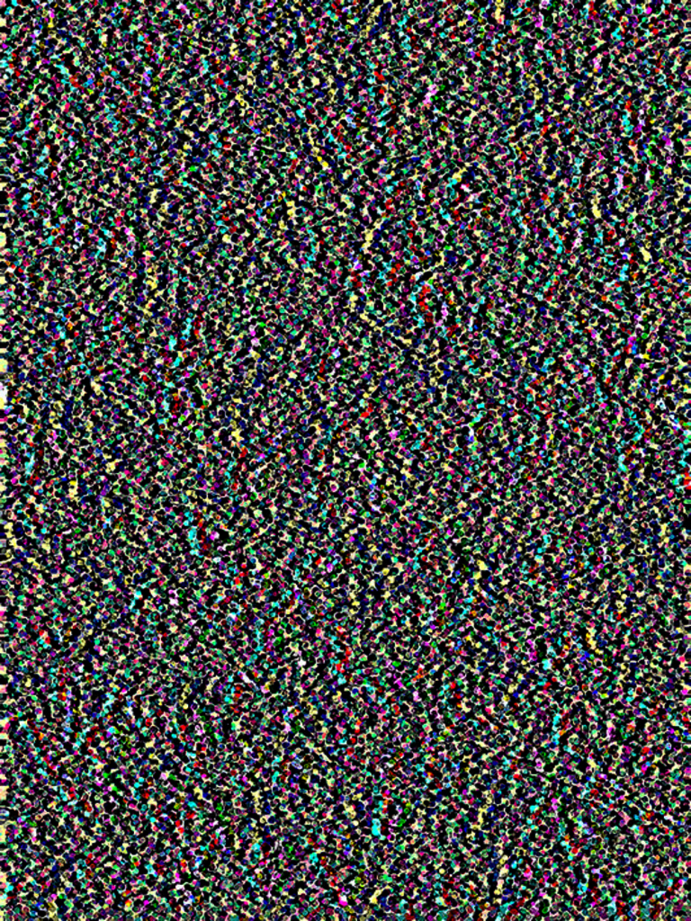 AO-OO-NR.080 (36X33 CM)