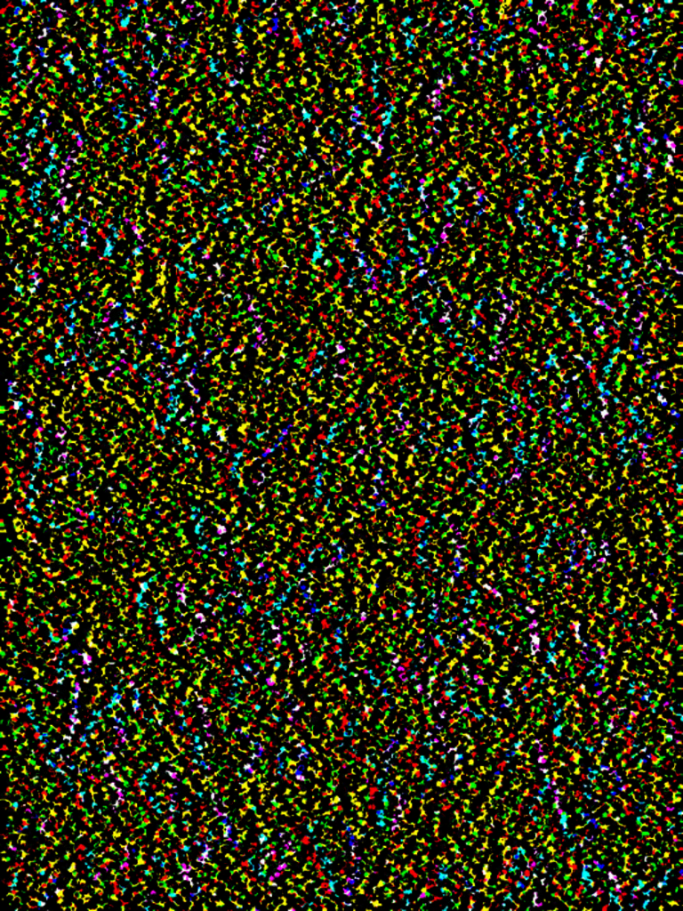 AO-OO-NR.082 (36X33 CM)