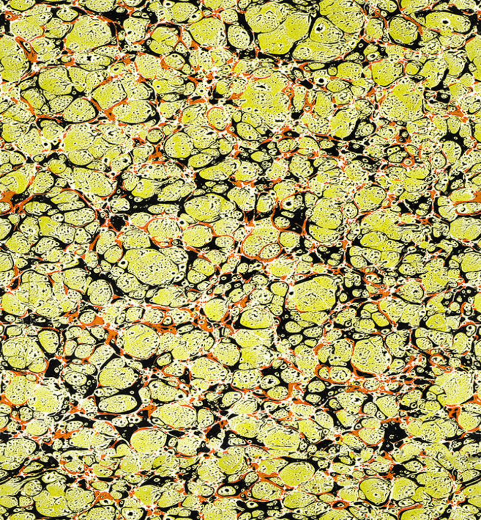 AO-OO-NR.190 (36X33 CM)