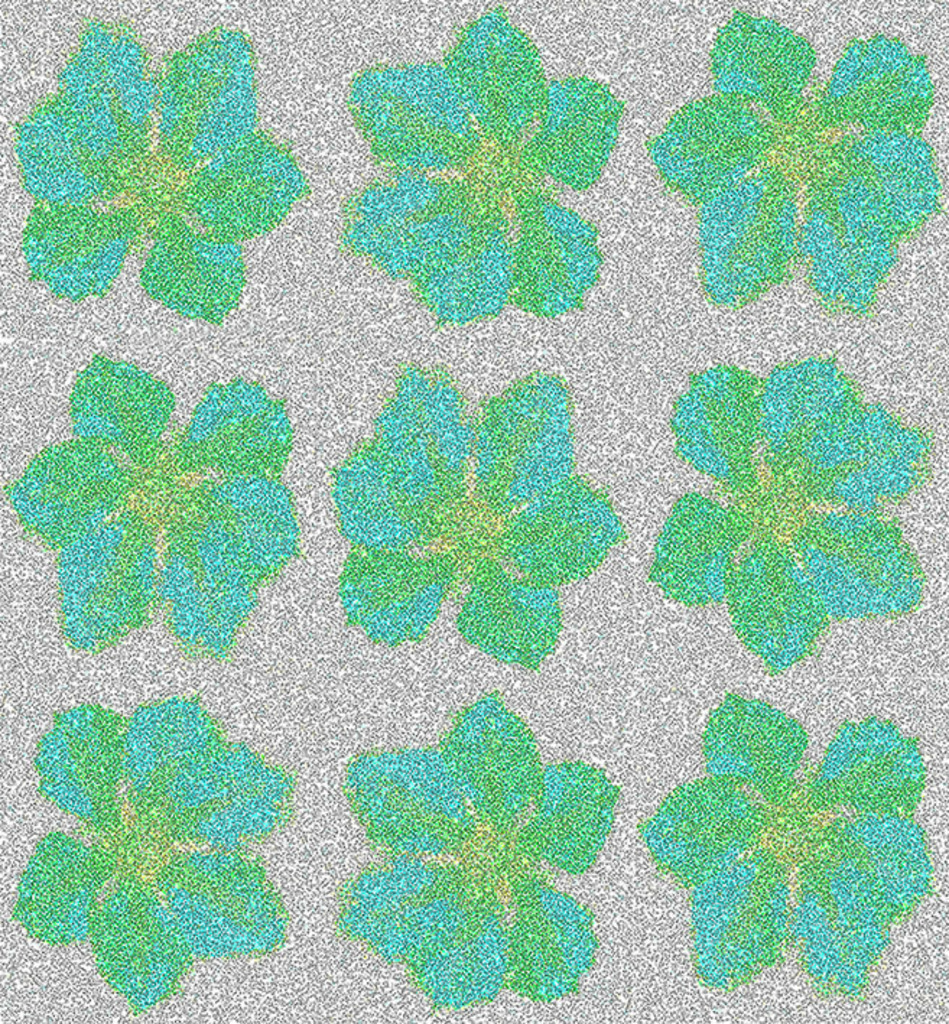 B-OO-NR.054 (36X33 CM)