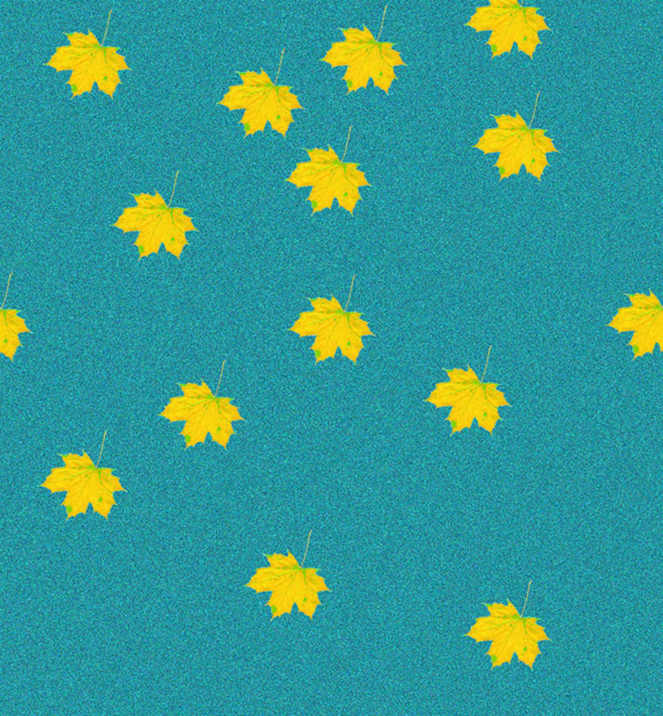 B-OO-NR.186 (36X33 CM)