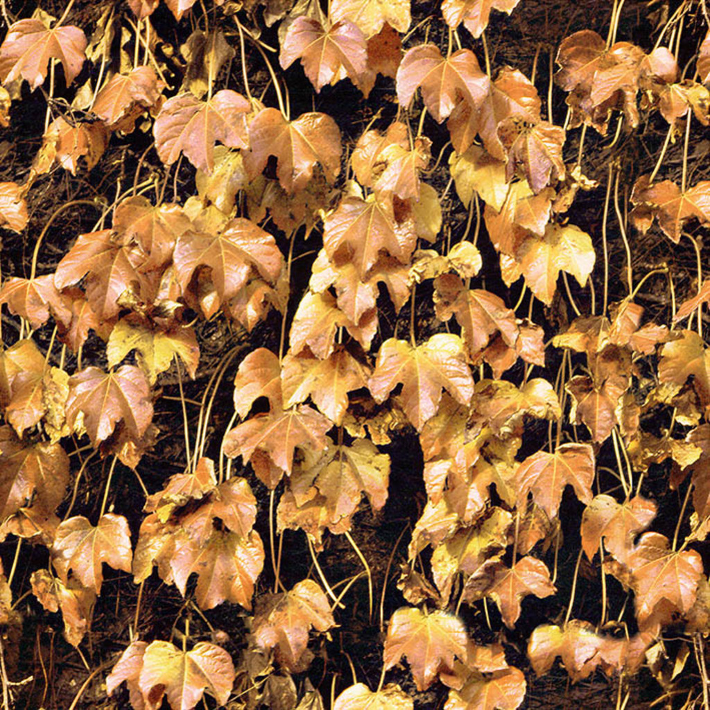 B-OO-NR.354 (30X30 CM)