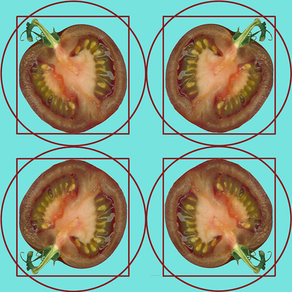 N-OO-NR.687 (30X30 CM)