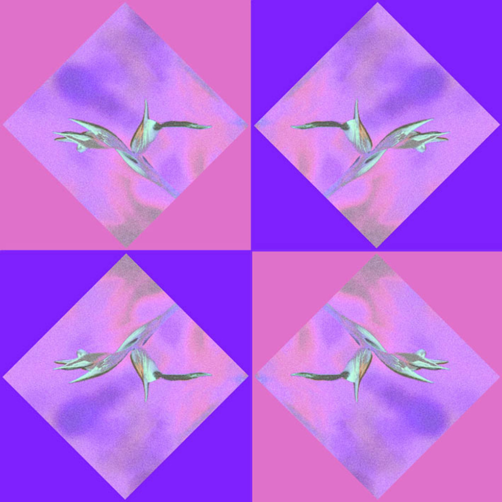 N-OO-NR.695 (30X30 CM)