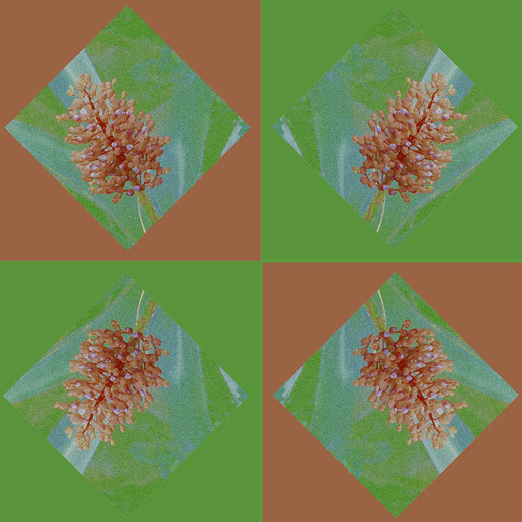 N-OO-NR.696 (30X30 CM)