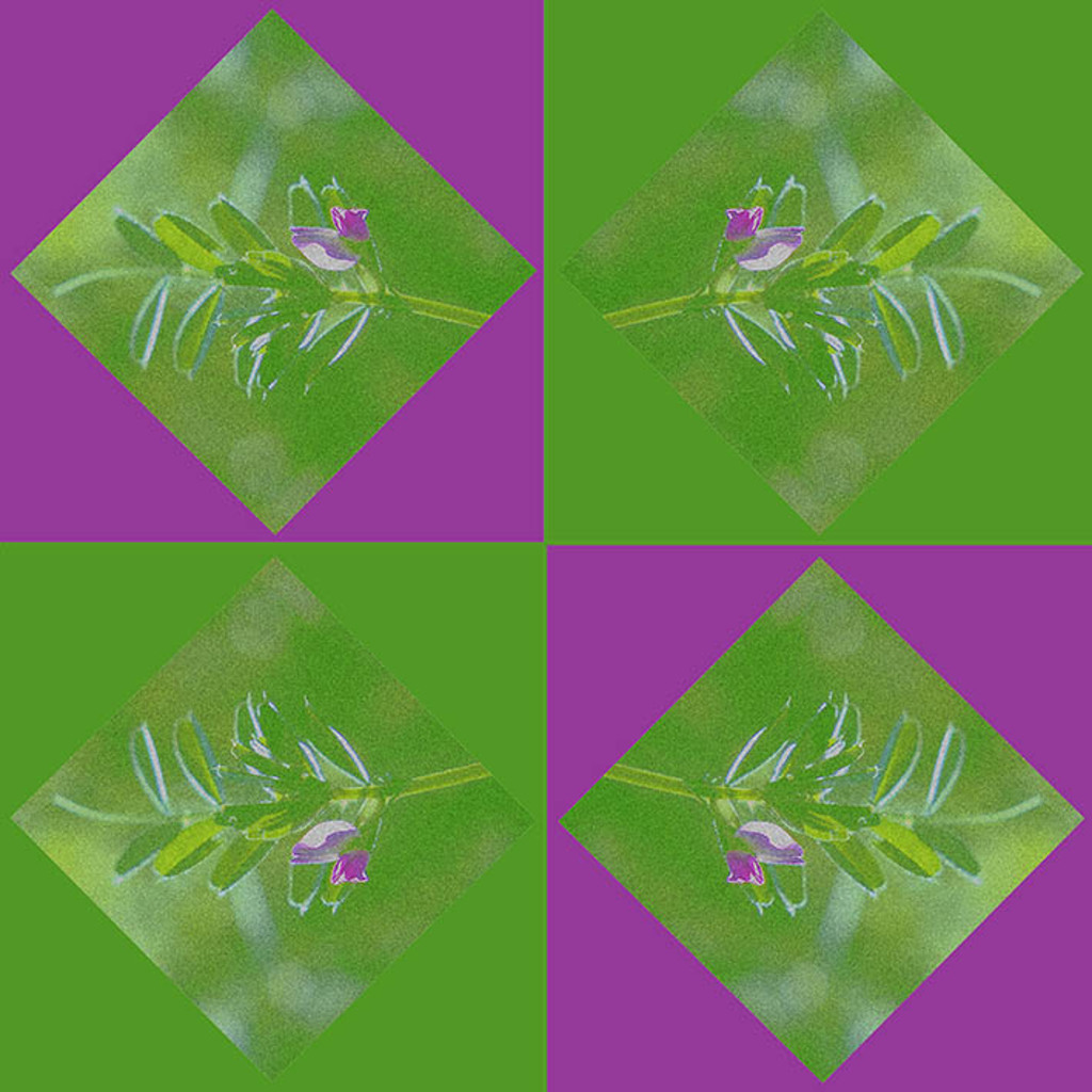 N-OO-NR.698 (30X30 CM)