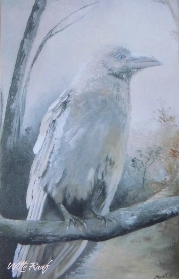 Witte Raaf