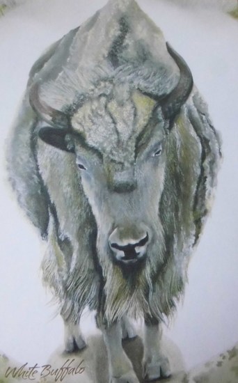 White Buffalo