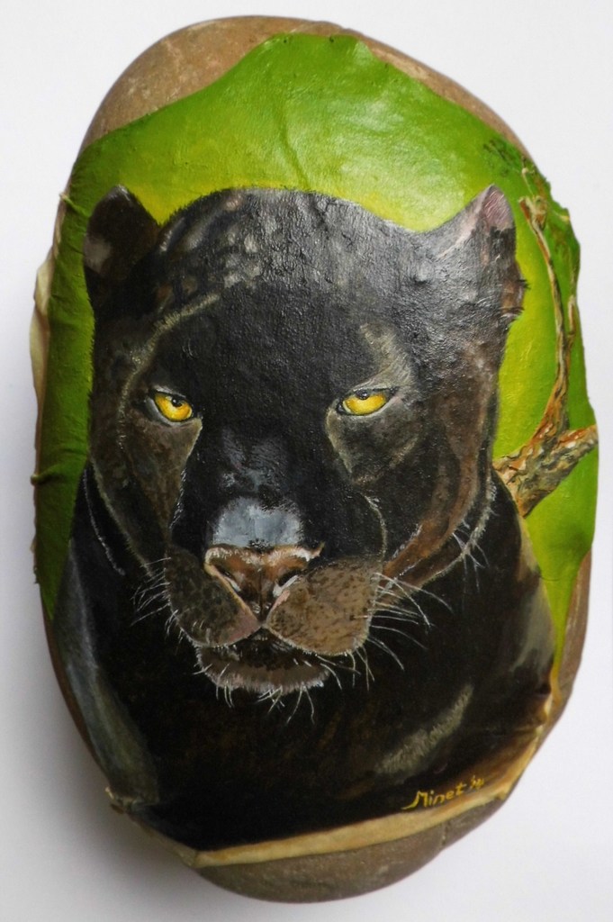 Zwarte luipaard Spirit