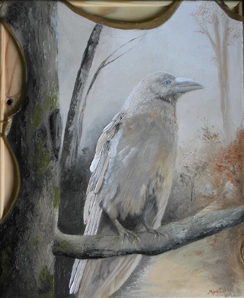 Witte Raaf