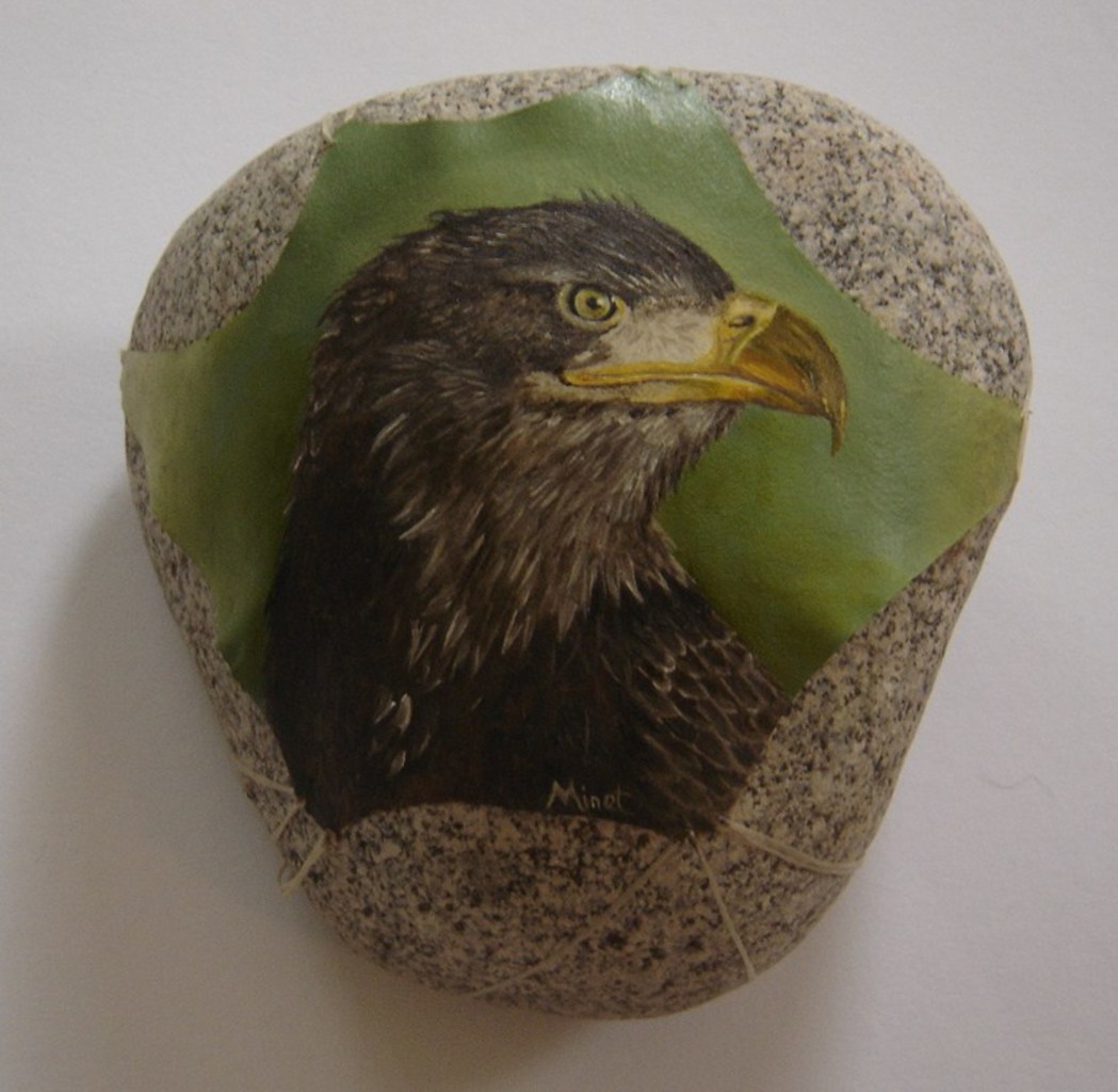 Bruine adelaar