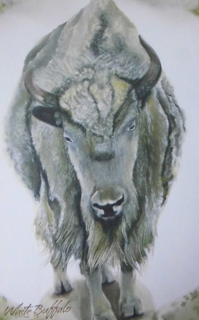 White Buffalo