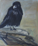 Vooral zwarte vogels intrigeren, na ooit de film