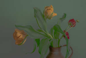 Bloemenpracht