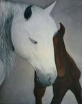 Paarden