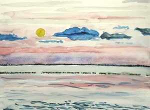 Aquarellen van mijn reizen in en door bekende natuurgebieden