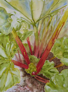 Diverse schetsen en studies voor aquarellen en diverse probeersels en stillevens